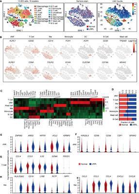 The Immune Atlas of Human Deciduas With Unexplained Recurrent Pregnancy Loss